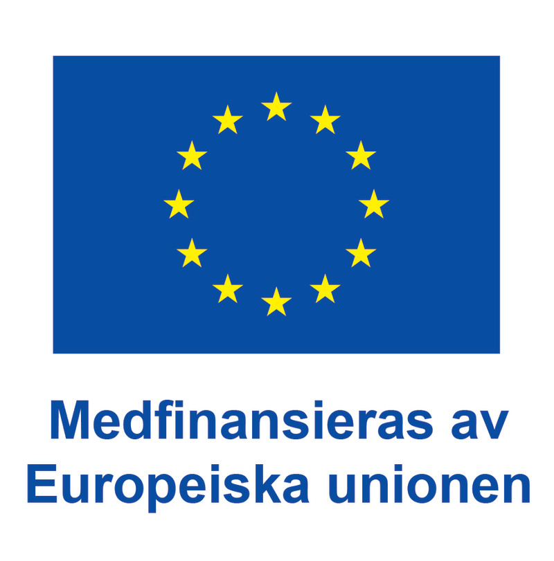 Den europeiska unionens flagga.
