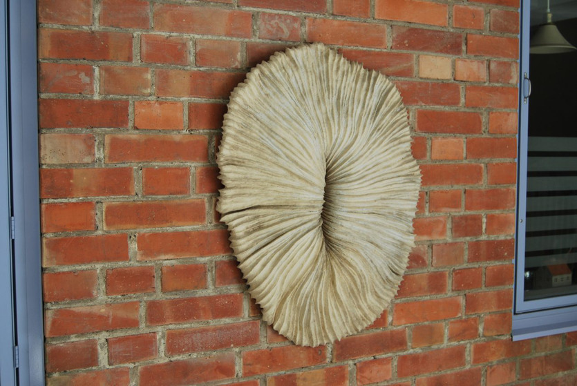 Fossil -Erosion