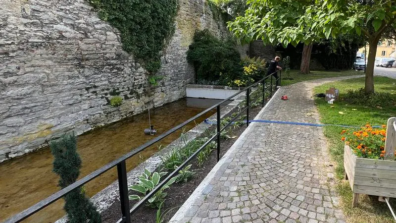 Garveridammen i Visby med en slang som leder ner i dammen