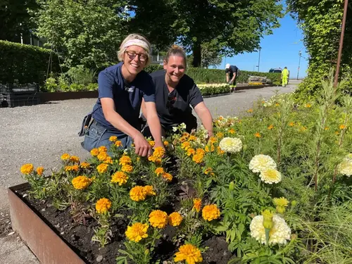 Två glada medarbetare