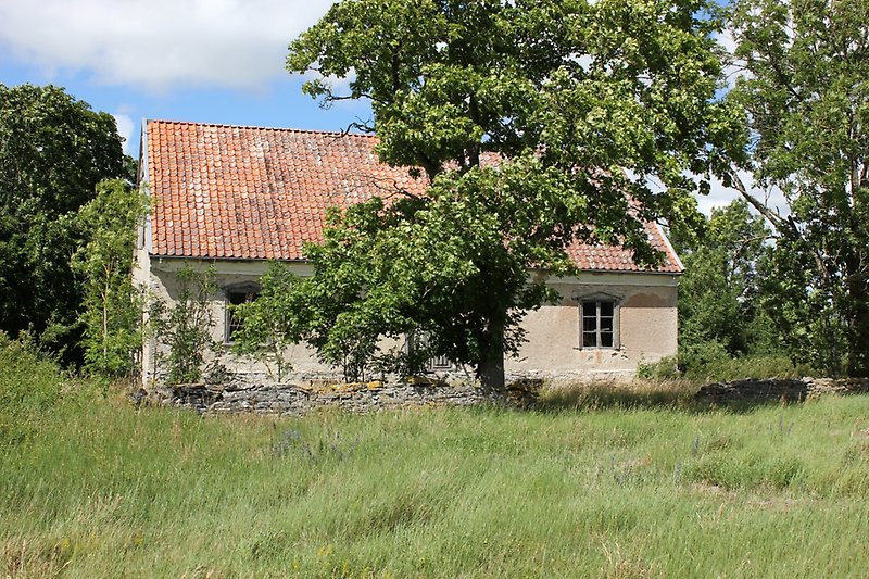 Grått hus med röd tak nära natur