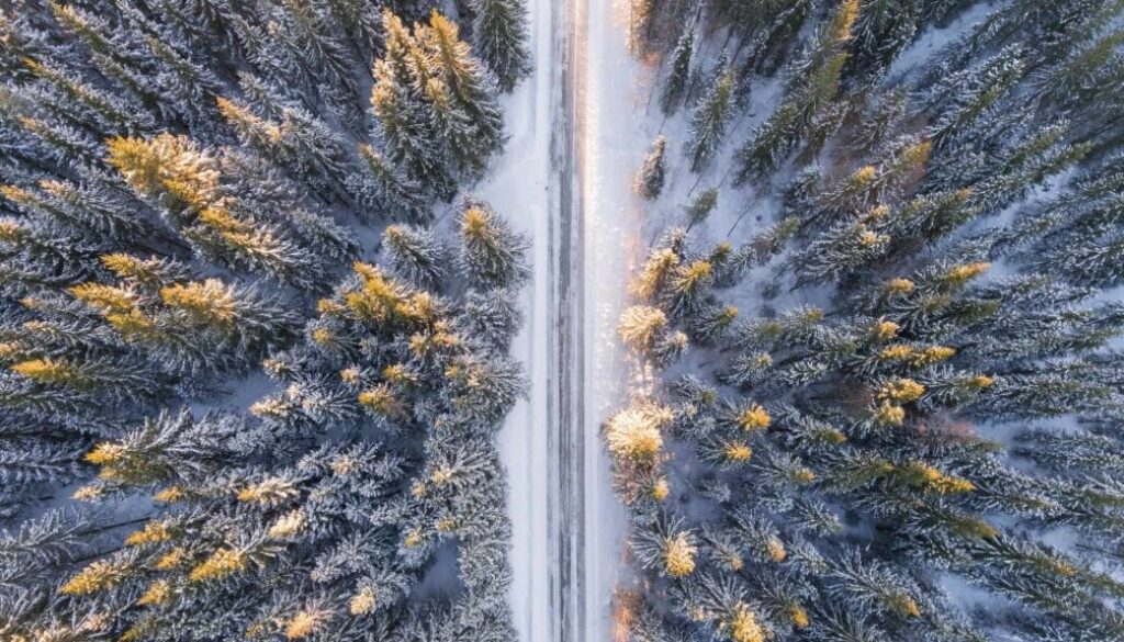 snötäckt landsväg omgiven av skog sedd uppifrån