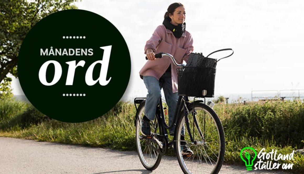 Kvinna cyklar och texten Månadens ord