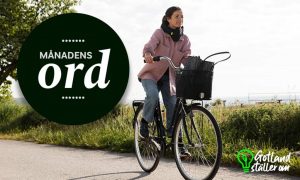 Kvinna cyklar och texten Månadens ord