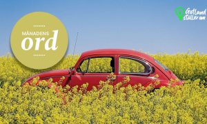 Röd bil på ett rapsfält, texten månadens ord och logo för Gotland ställer om med en grön glödlampa