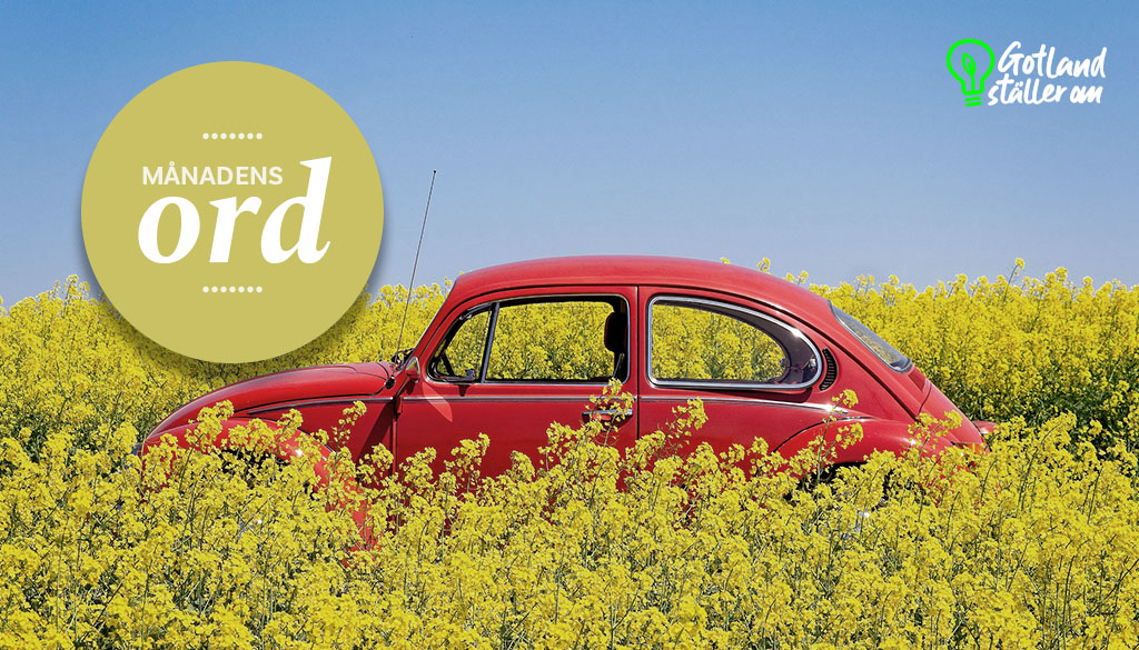 Röd bil på ett rapsfält, texten månadens ord och logo för Gotland ställer om med en grön glödlampa
