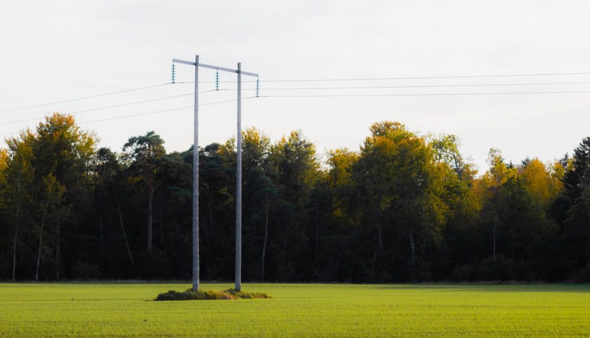 kraftledning på en grön åker