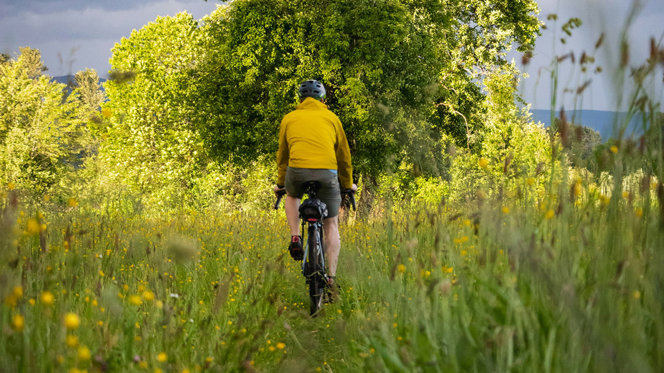 Cyklist på stig på grön äng