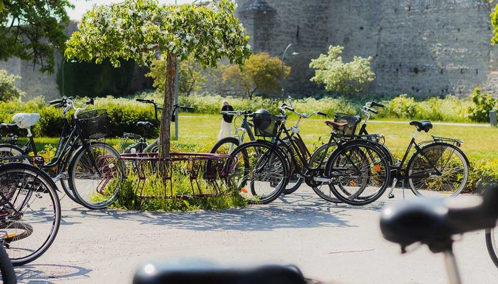 Cyklar parkerade i cykelställ. Visby ringmur i bakgrunden