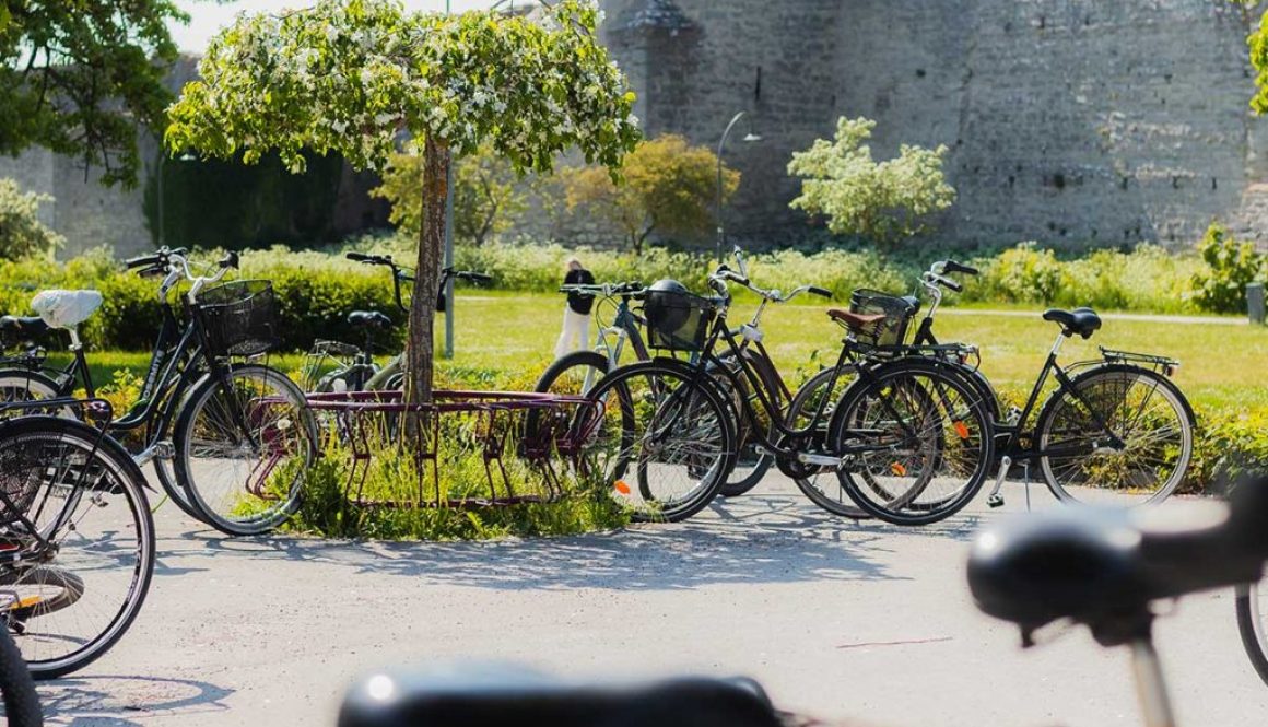 Cyklar parkerade i cykelställ. Visby ringmur i bakgrunden