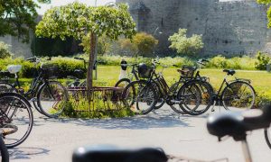 Cyklar parkerade i cykelställ. Visby ringmur i bakgrunden