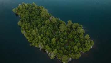 Restor_island En ö fylld med granskog mitt i mörkt vatten