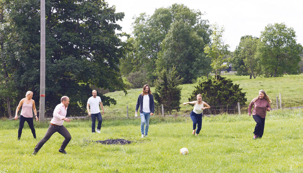 ett antal personer spelar fotboll på en grön sommaräng